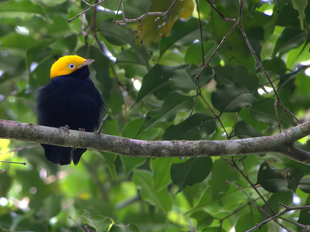 Ikam Expeditions-Moyobamba必去景点