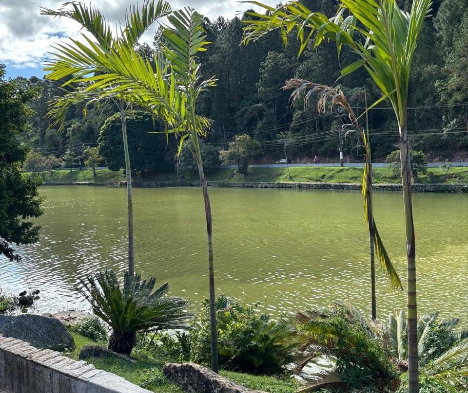 Lago Javary-Miguel Pereira必去景点