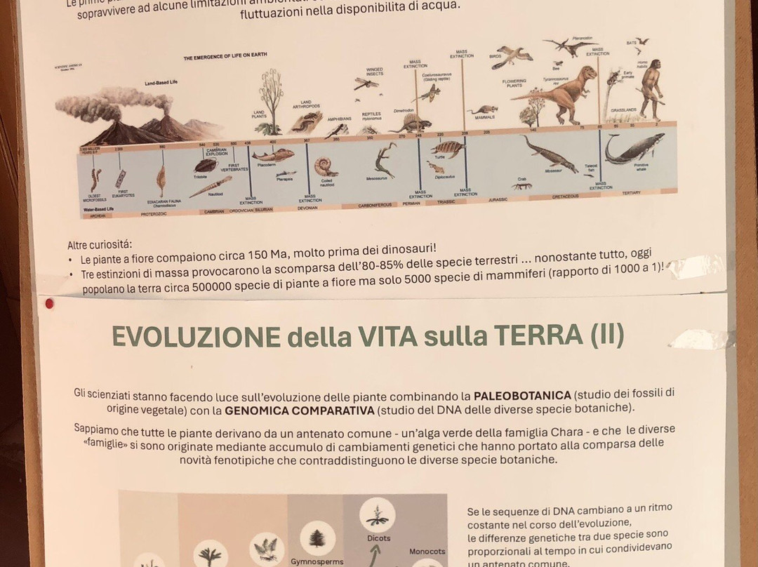 Orto Botanico Dell'Università di Urbino Carlo Bo-乌尔比诺必去景点
