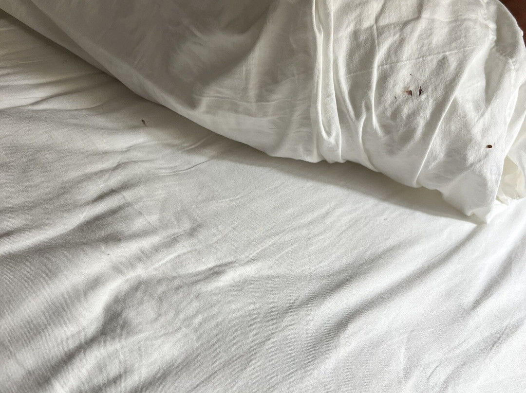 Best Western Capital Beltway Washington Dc主图