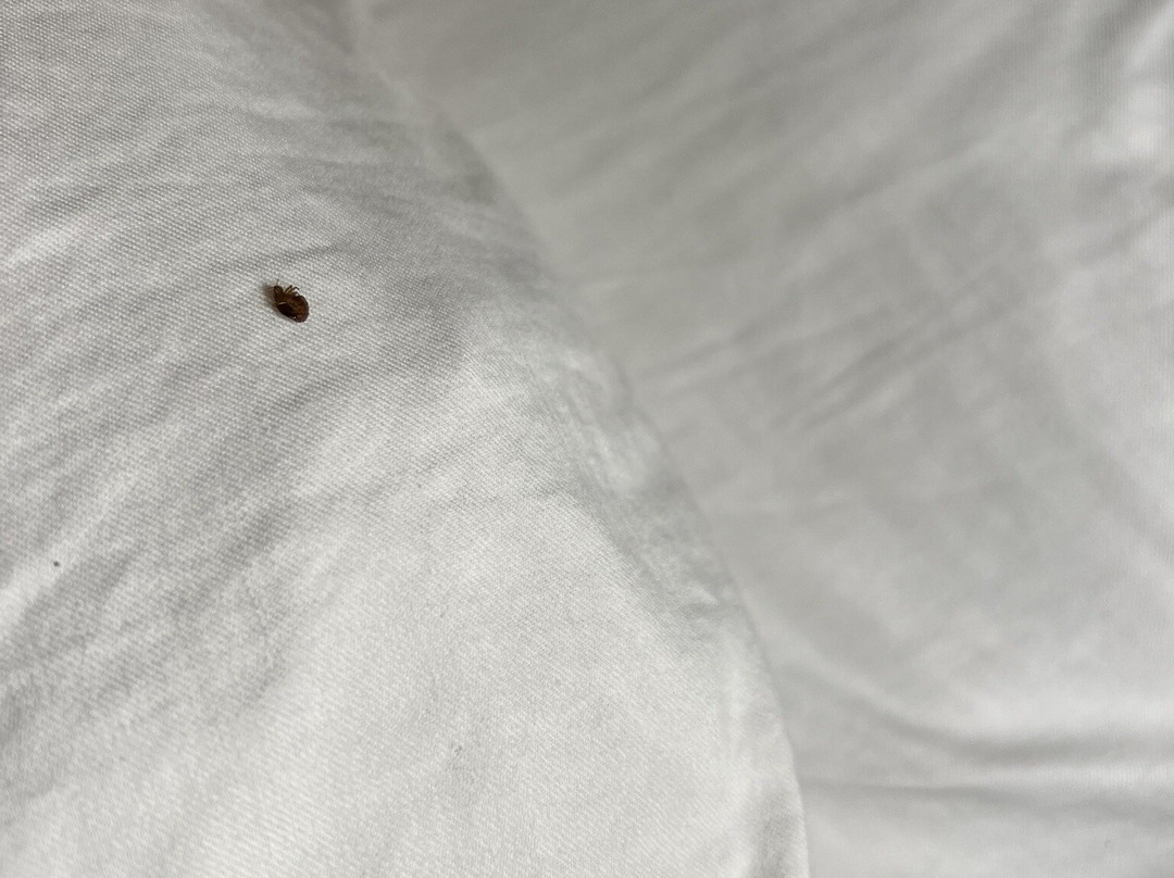 Best Western Capital Beltway Washington Dc主图