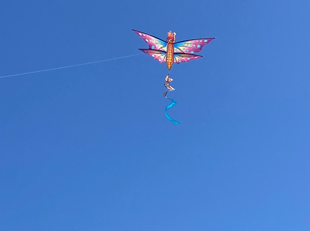 Bullards Beach State Park-班登必去景点