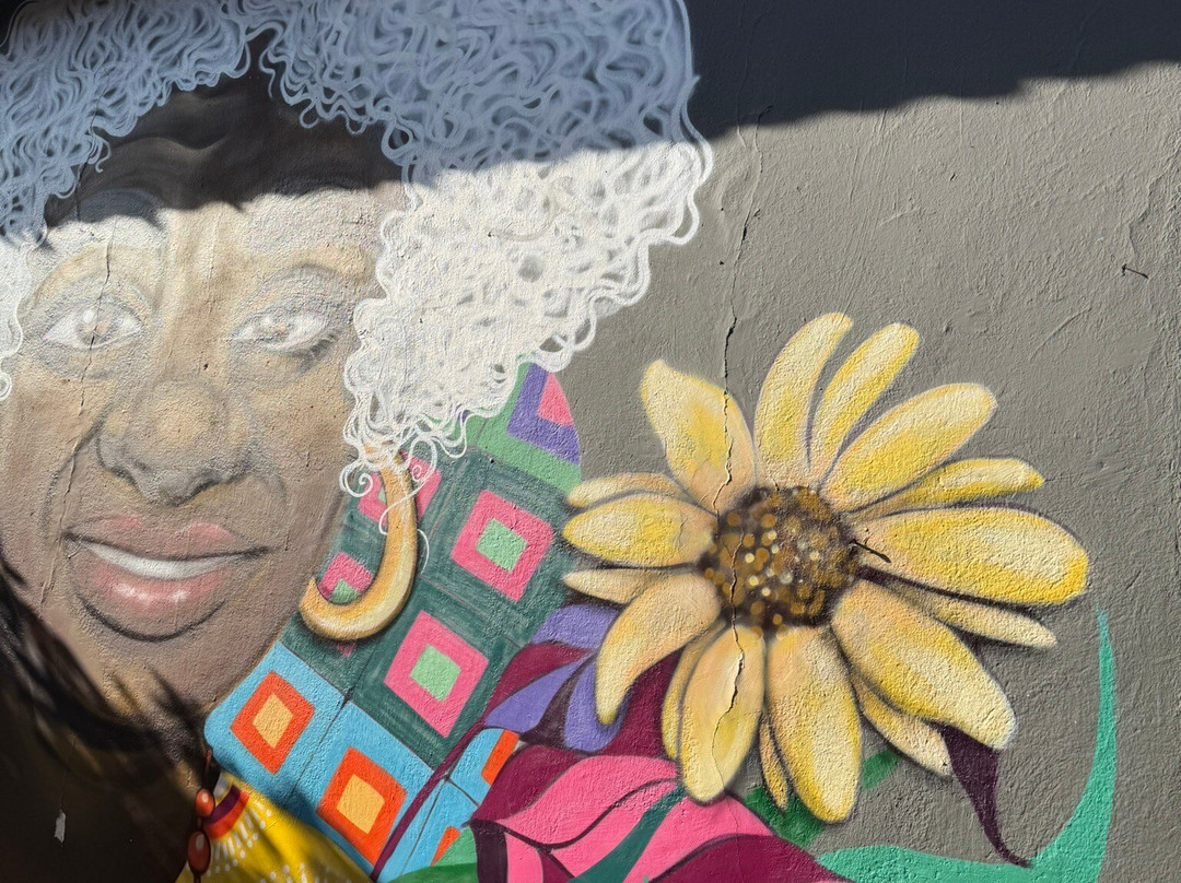 Viela das Lavadeiras-恩布必去景点