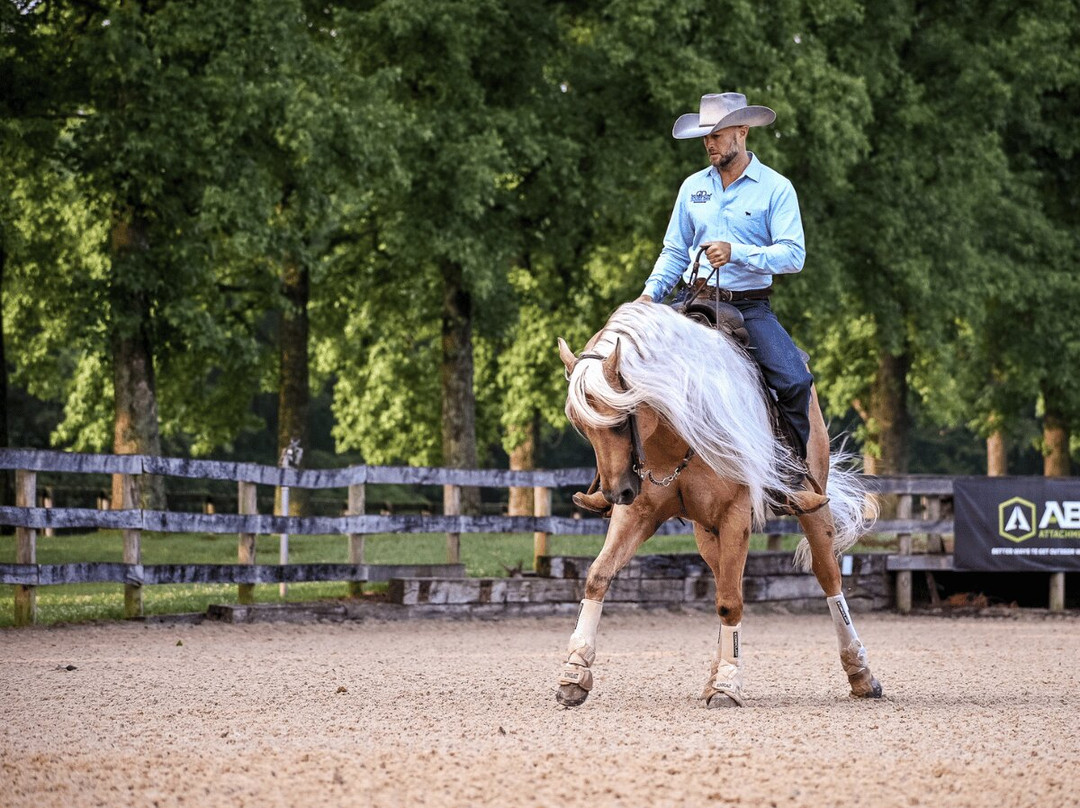Double Dan Horsemanship-Midway必去景点