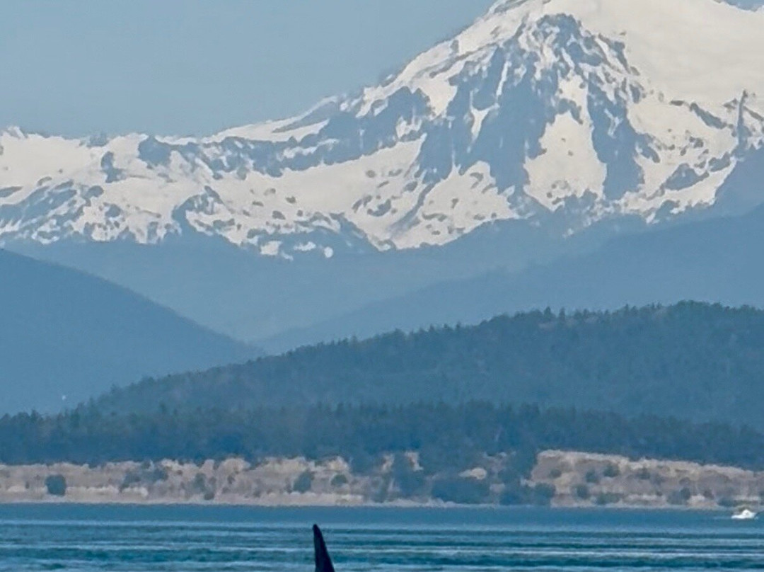 Sail The San Juans-贝灵厄姆必去景点