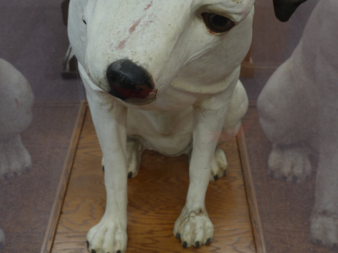 Virginia Musical Museum-威廉斯堡必去景点