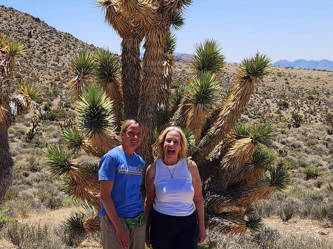 Eaglerider Off-road Tours - Las Vegas-拉斯维加斯必去景点