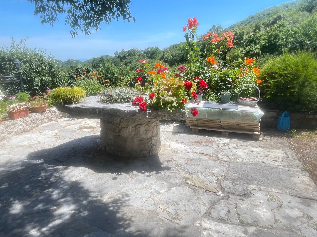 Mrkan Winery-Cetinje必去景点