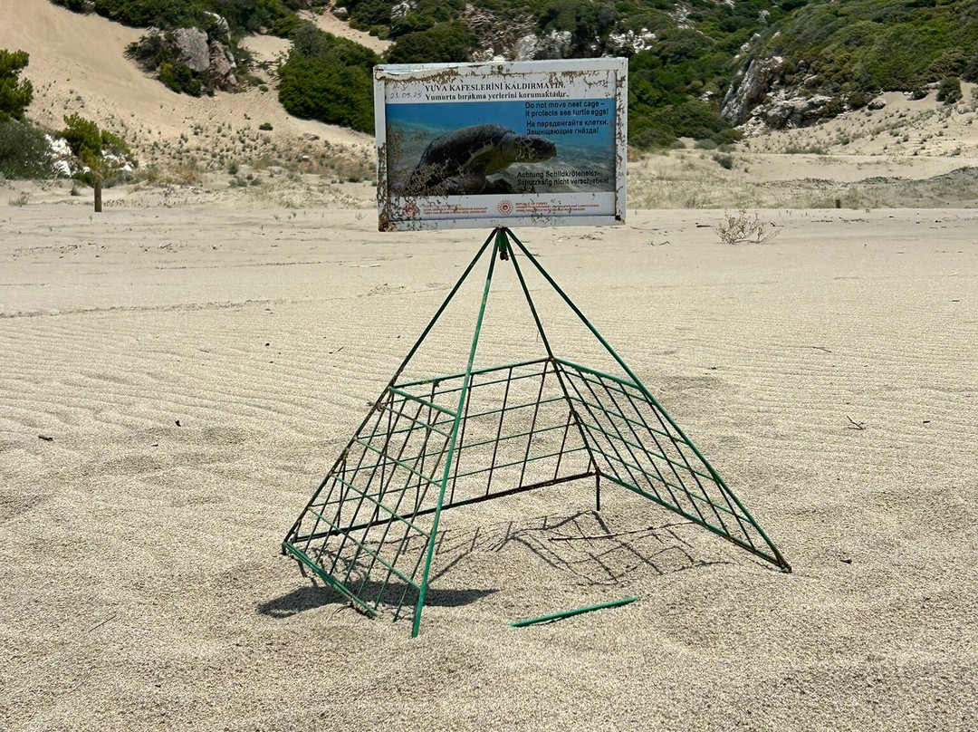 Patara Plajı景点图片