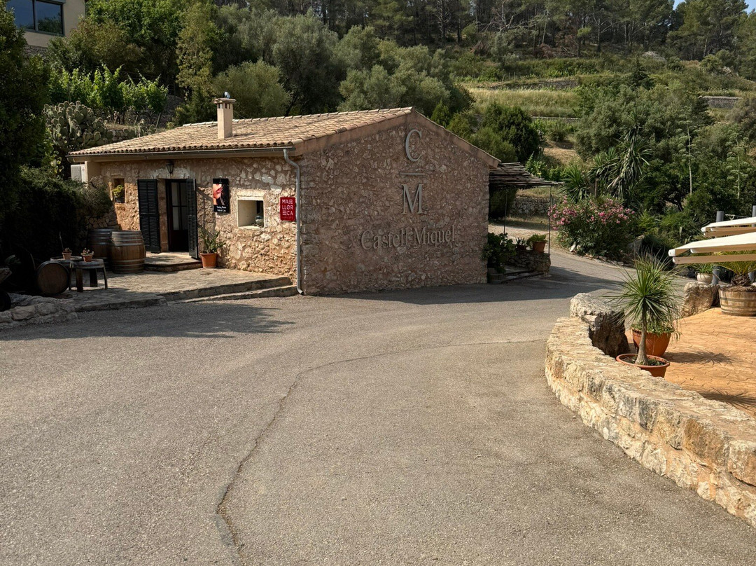Bodega Castell Miquel景点图片