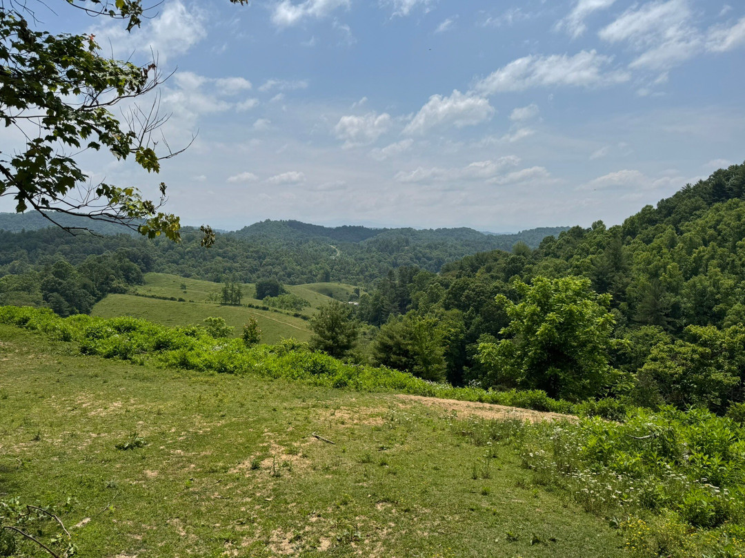 Smoky Mountain Trail Rides and Bison Farm景点图片