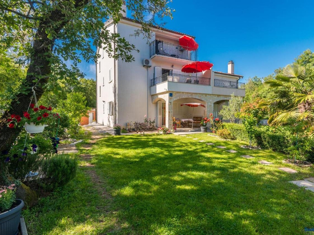 Apartments Ana