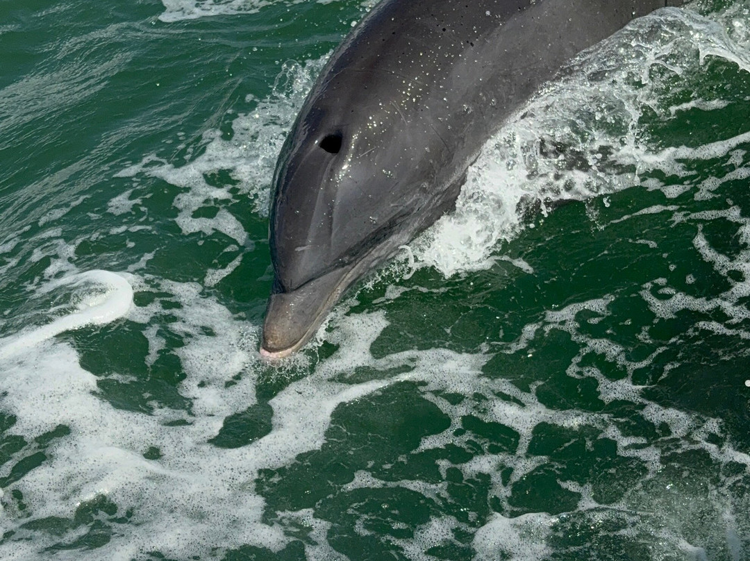 Reel Kind Fishing and Tours-Goodland必去景点