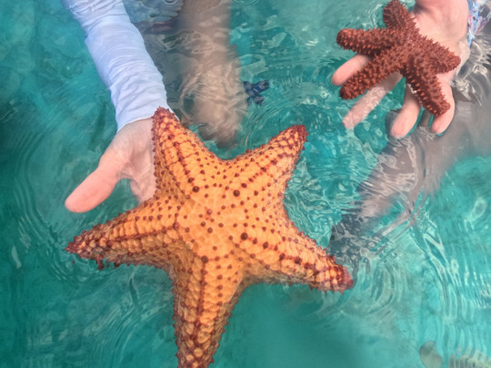 Ocean Adventure Cat-George Town必去景点