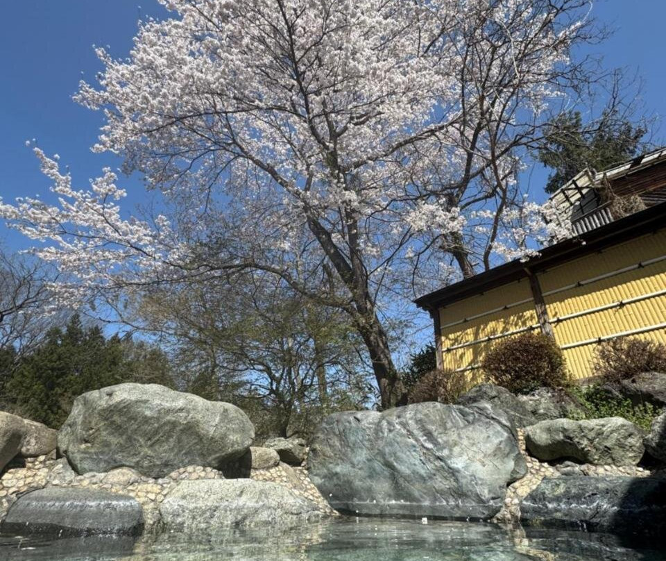 Sasanoyu