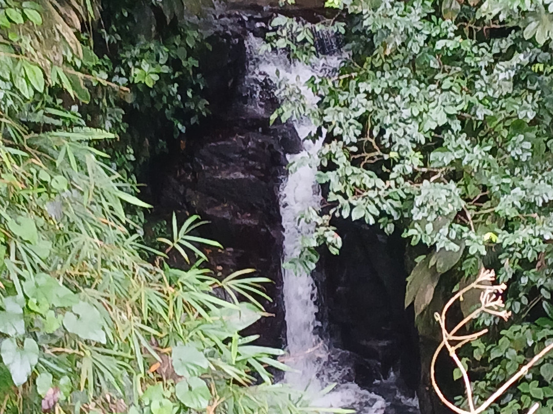 Kalonji Tours & Taxi-Le Lamentin必去景点