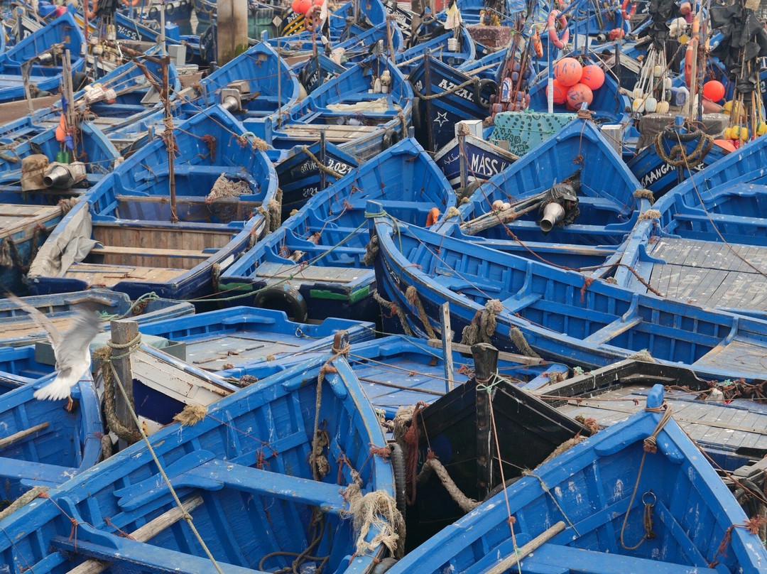 Walking With Nomads-Agdz必去景点