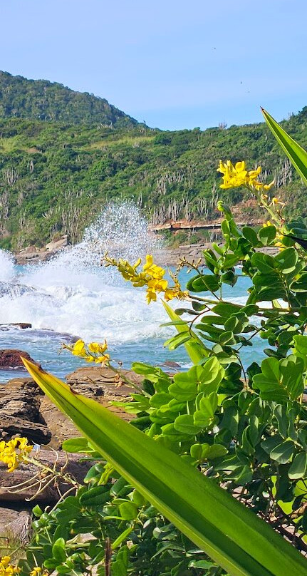 Mirante do Forno-布基亚斯必去景点