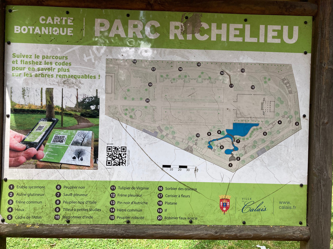 Parc Richelieu-加莱必去景点