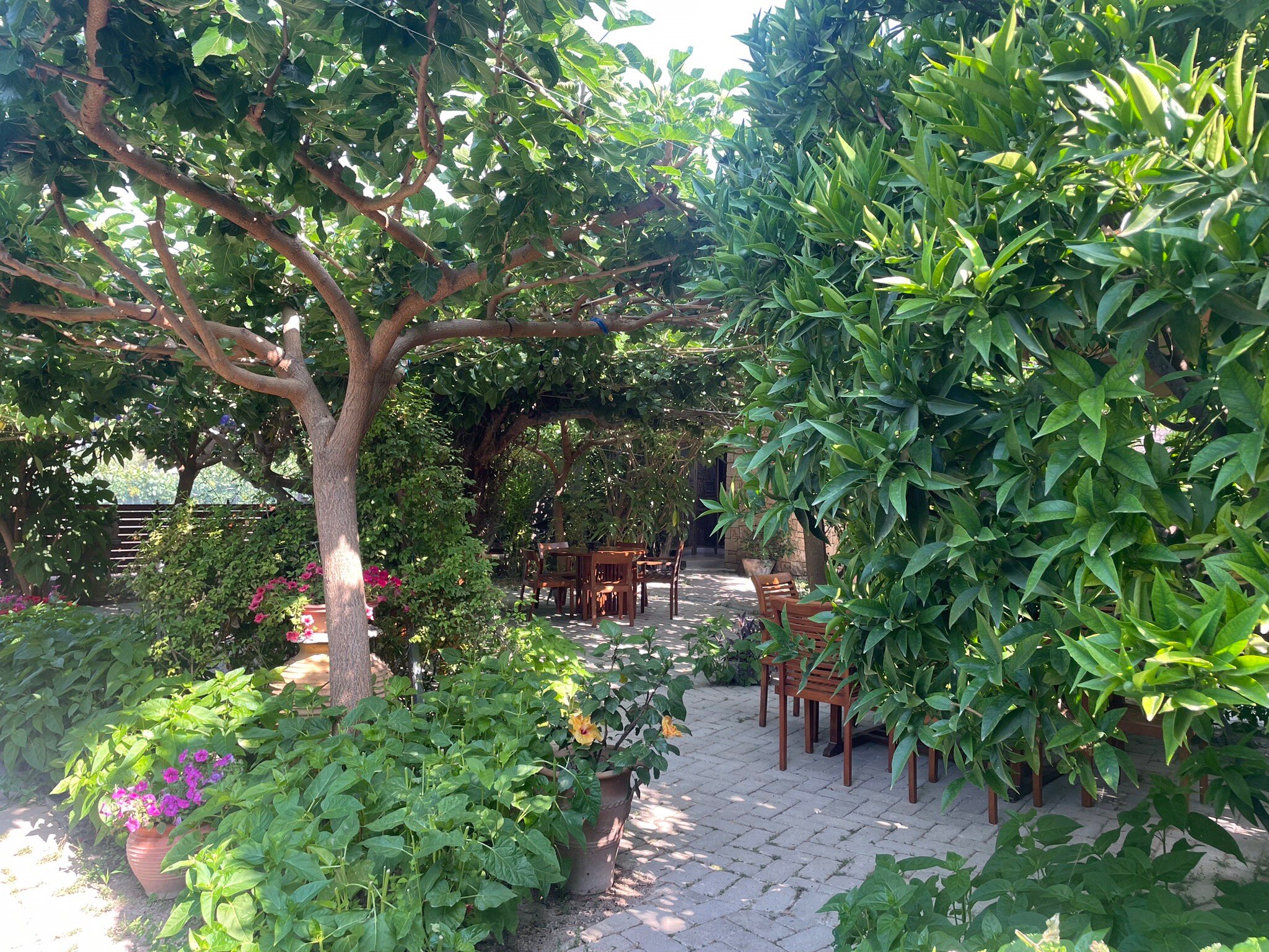 Rastoni Hotel Aegina-官方
