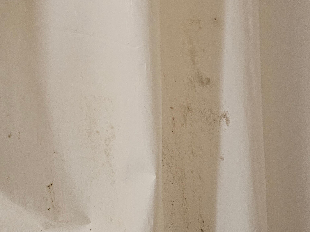 Mainstay Suites Columbus Next To Fort Moore主图