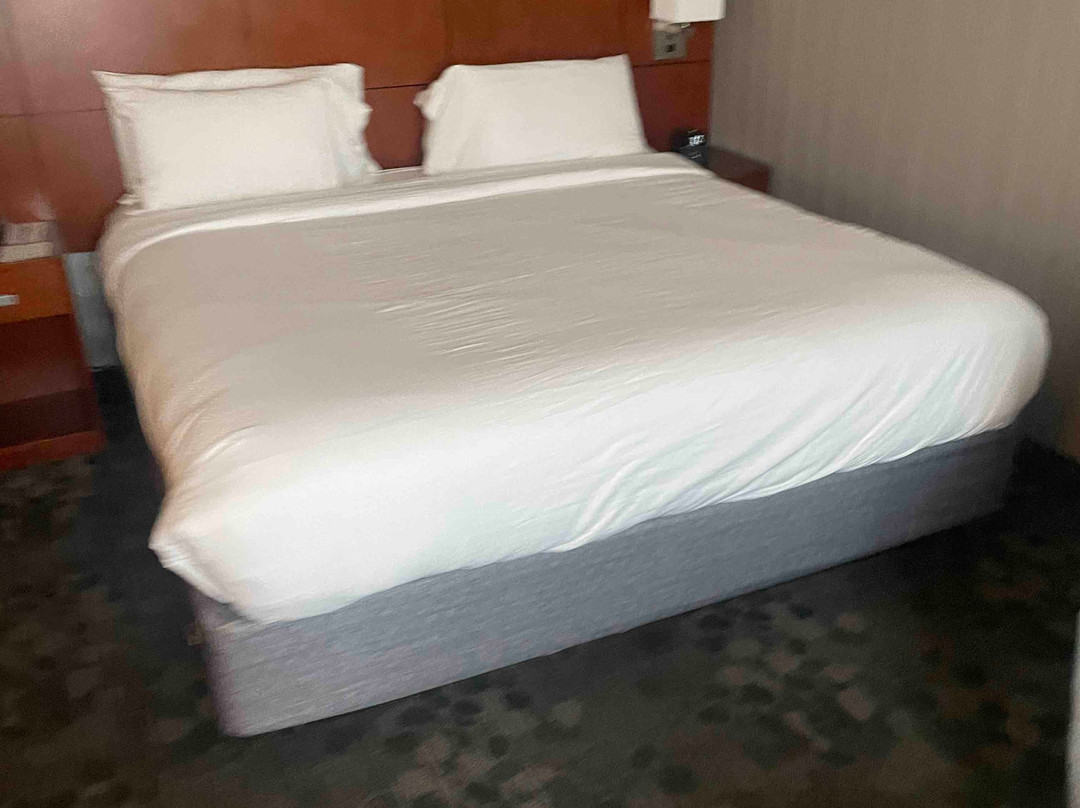 Courtyard by Marriott Silver Spring Downtown主图