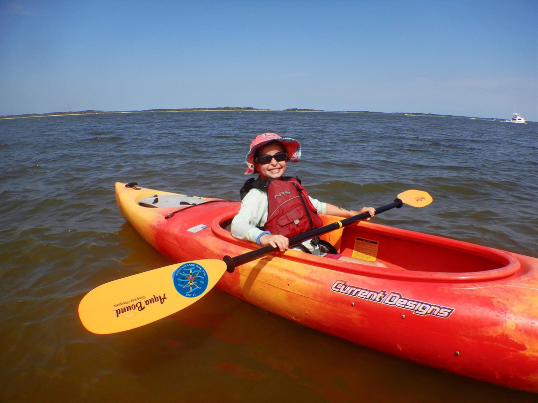 Amelia Island Kayak Excursions-费尔南迪纳岛必去景点