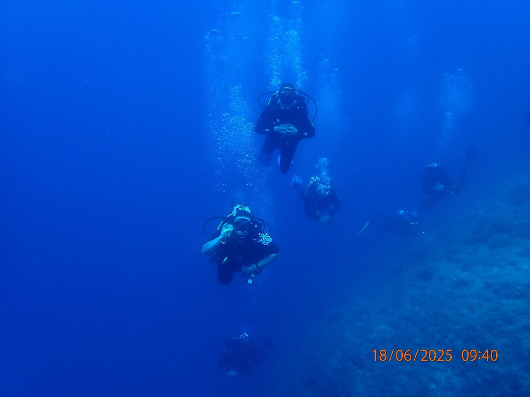 Croatia Divers Vela Luka景点图片