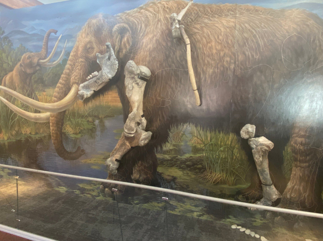 Sequim Museum & Arts-塞奎姆必去景点