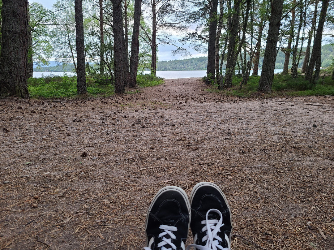 Loch Morlich-阿维莫尔必去景点