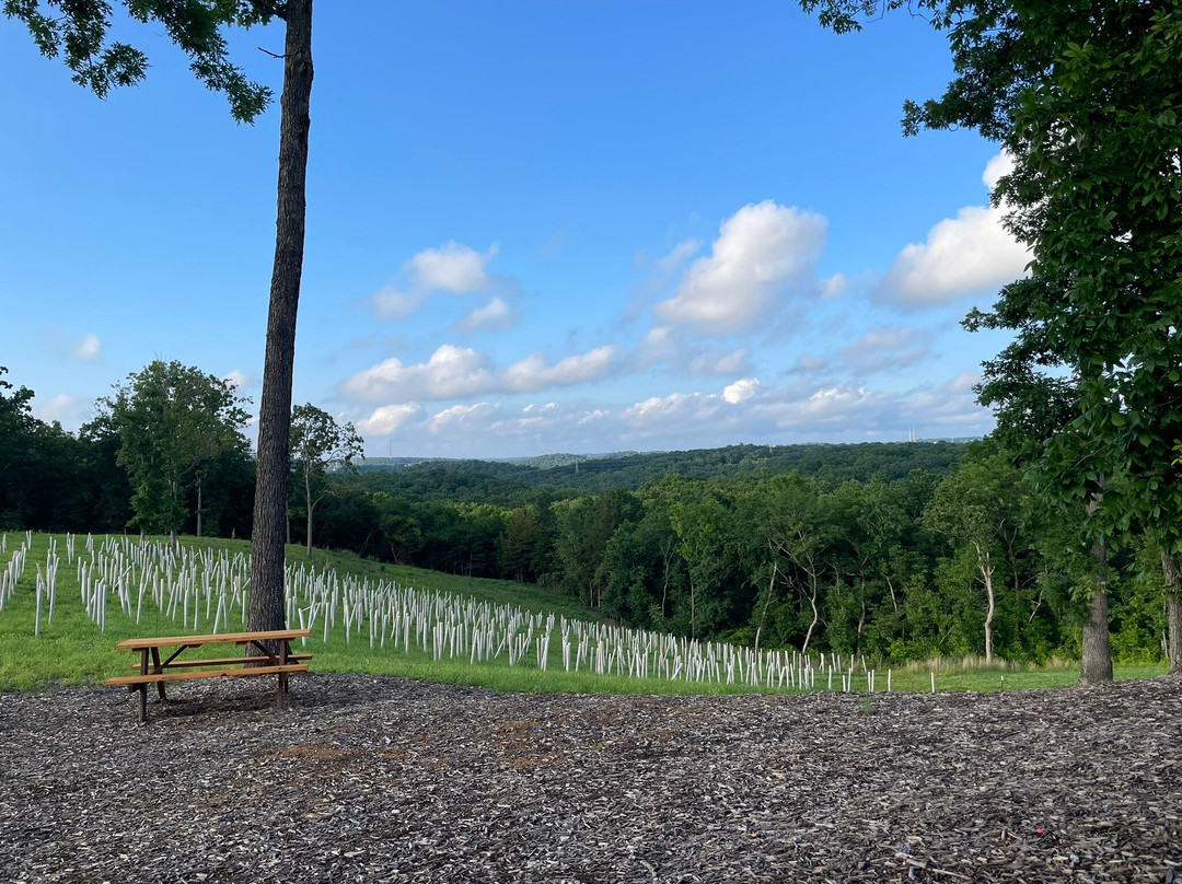 Mathany Family Vineyards