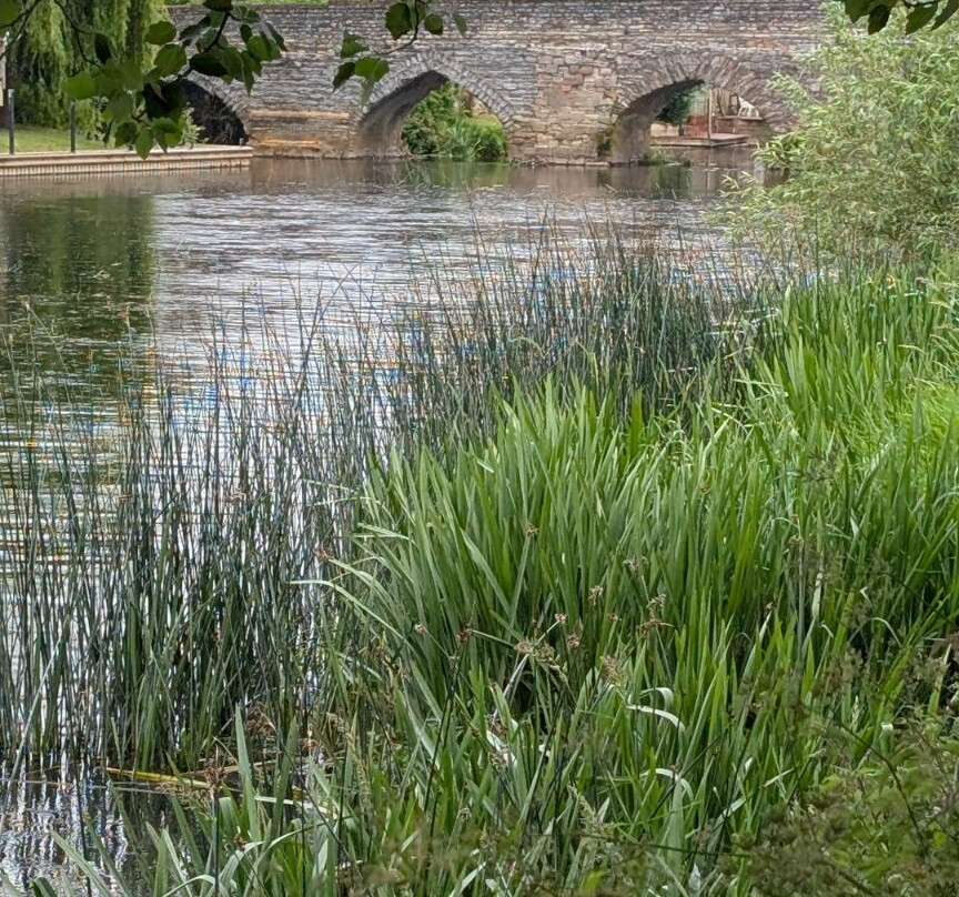 The Big Meadow, Bidford-Bidford-on-Avon必去景点