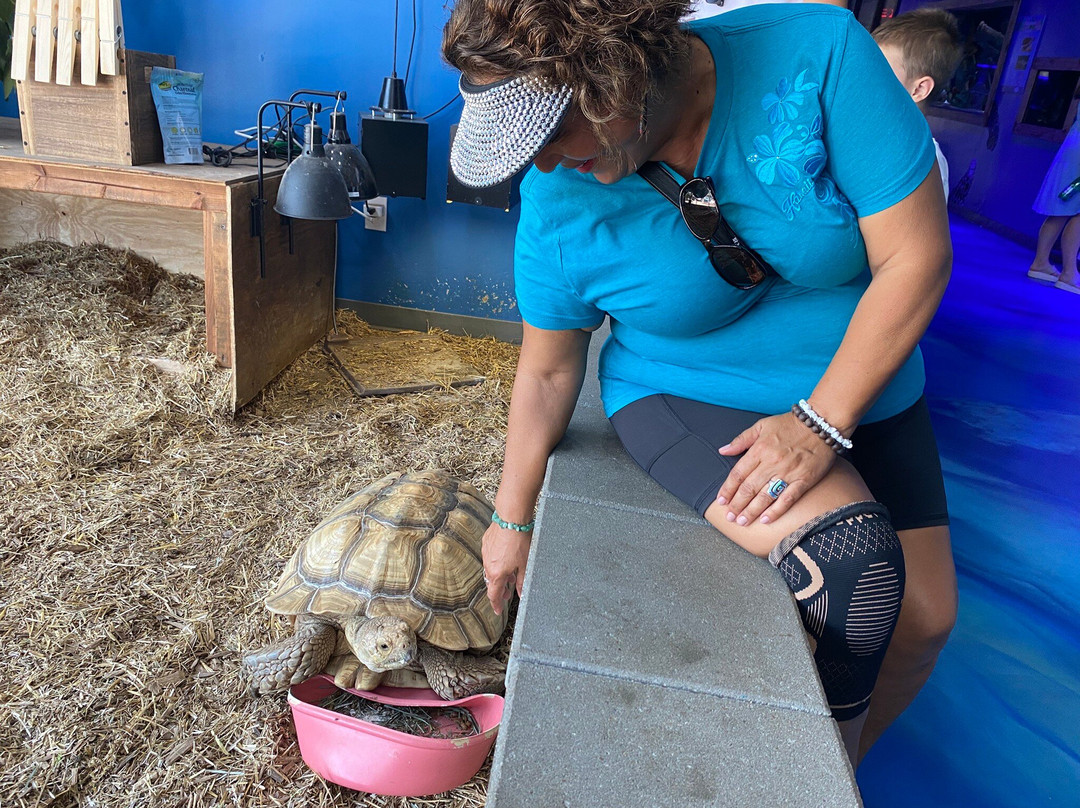 Blue Zoo Aquarium Rogers-罗杰斯必去景点