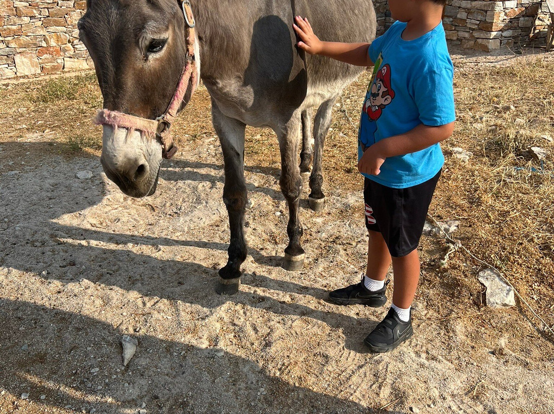 Anthi Farm Sifnos-Apollonia必去景点