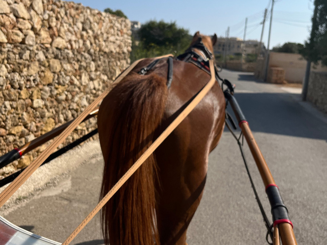 Lino's Stables-Xaghra必去景点