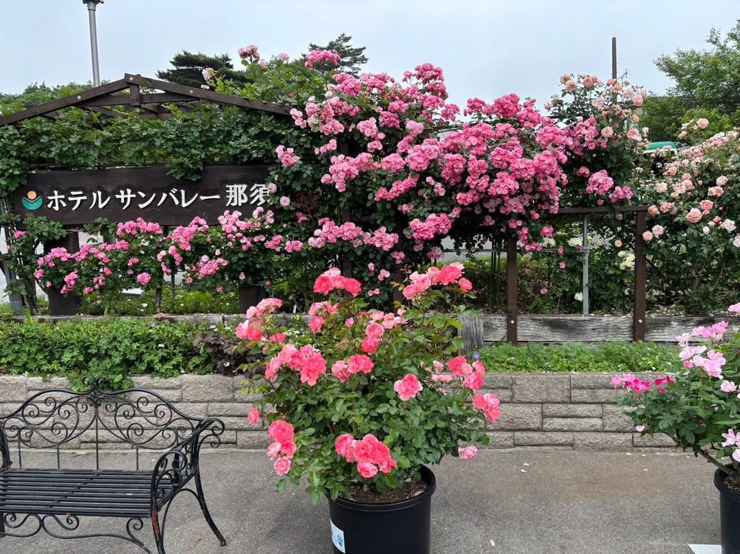 Hotel Sun Valley Nasu主图