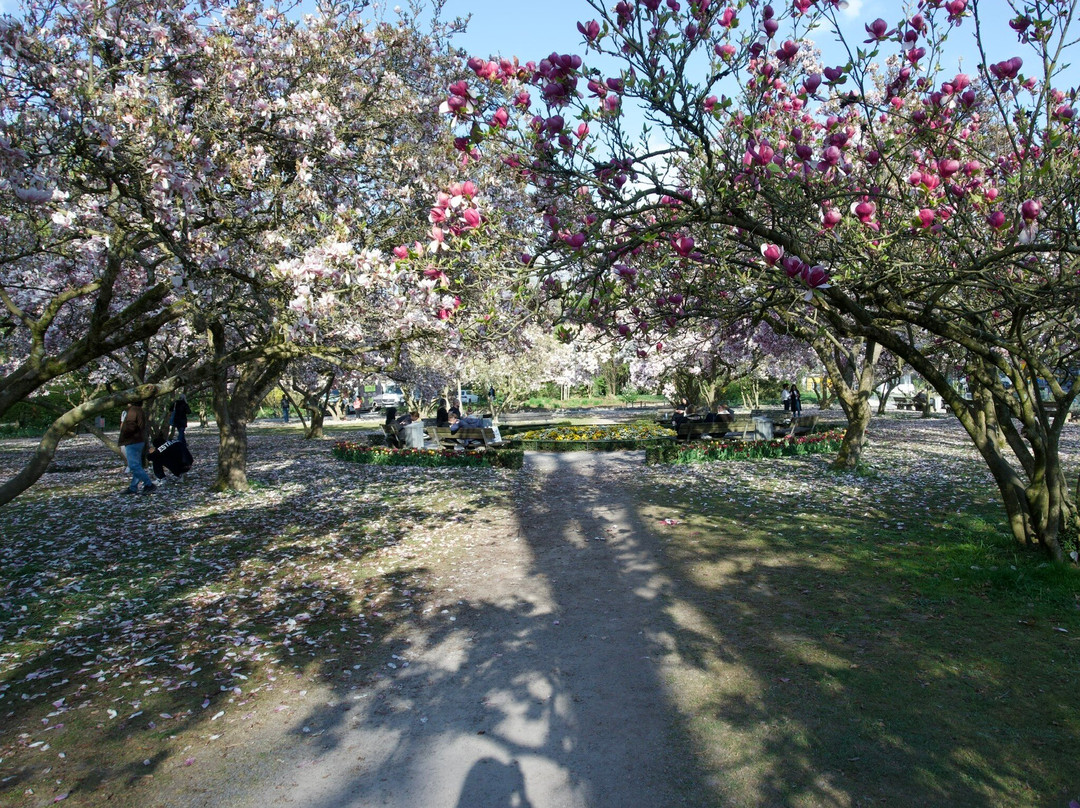 Park Schöntal-阿沙芬堡必去景点