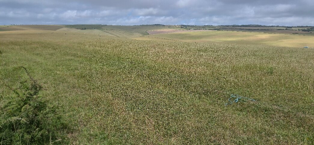 South Downs Way National Trail-Steyning必去景点