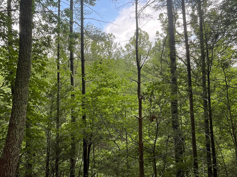 Cedar Post Inn Bed & Breakfast主图