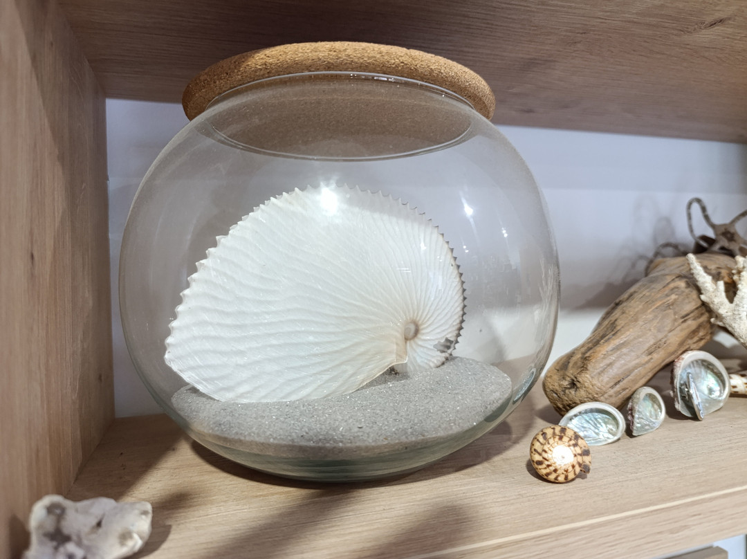 Argonauta Diving Resort-Rovies必去景点