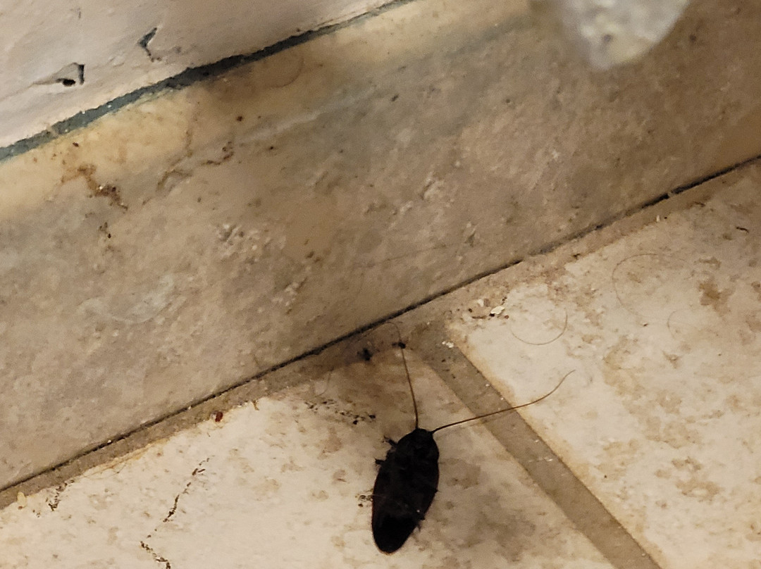 Wingate by Wyndham Valdosta/Moody AFB主图