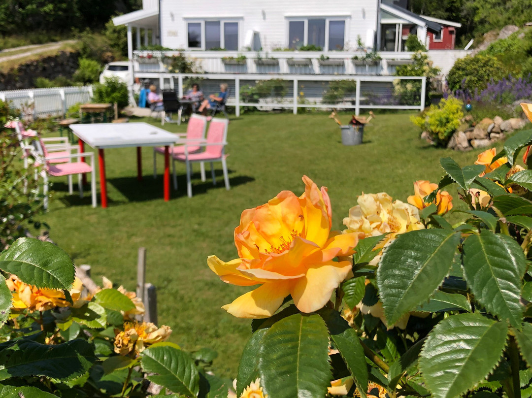 Hagekafe Lindesnes