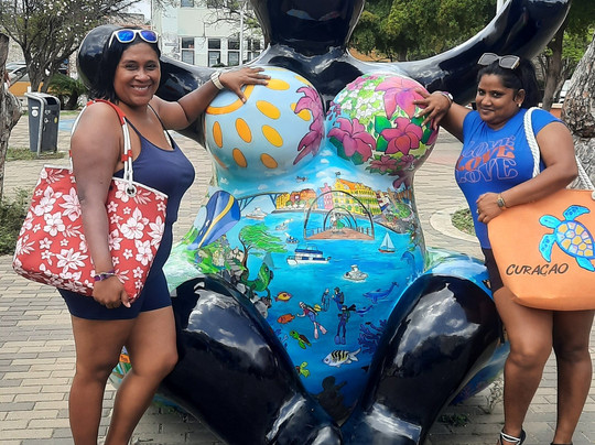 Travo Flight Solutions-多巴哥必去景点