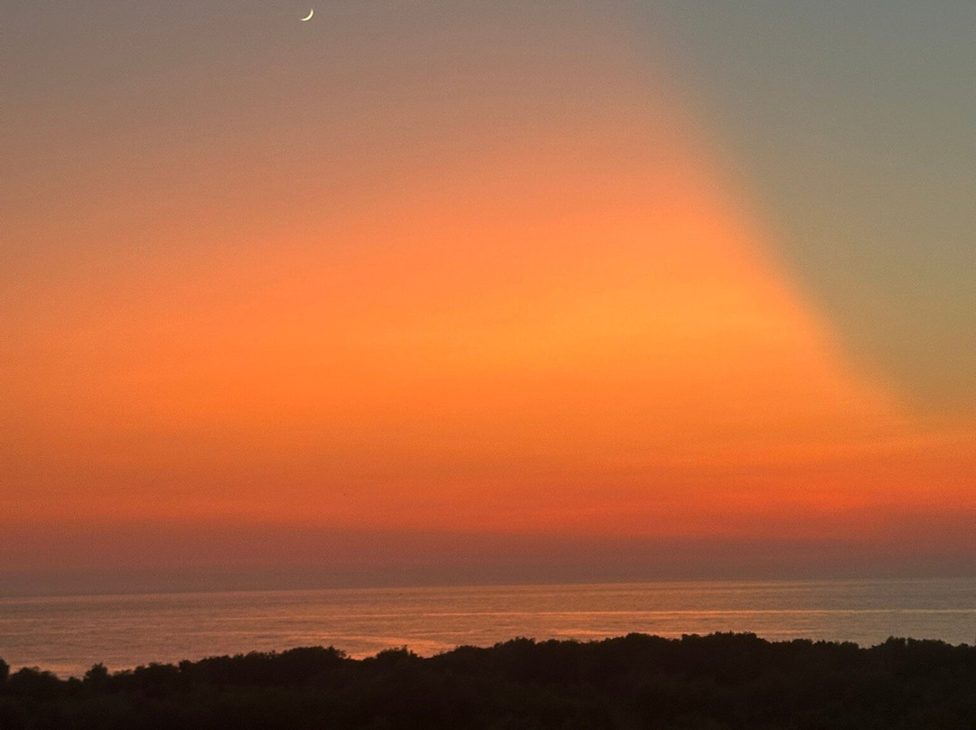 Apollo Resort Art Hotel主图