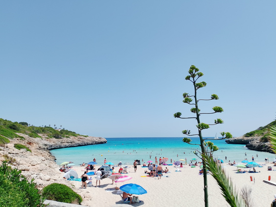 Cala Anguila-马纳科尔必去景点