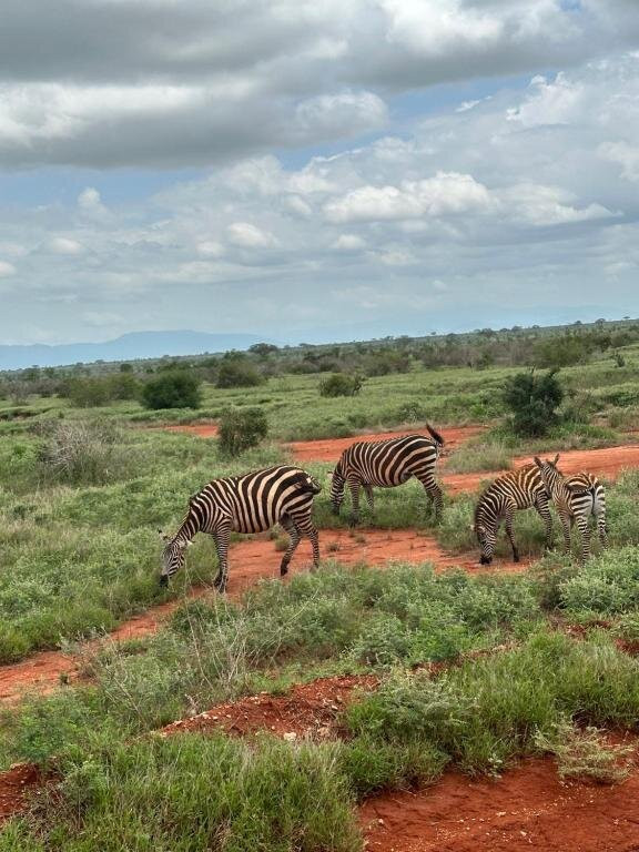 Adventure Trip At Yu Resort-Msambweni必去景点