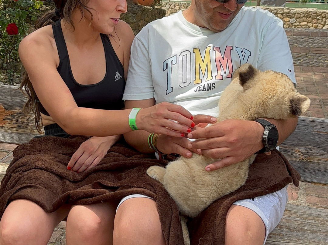 Zoo Safari Fauna Aventura-Hinojosa de San Vicente必去景点