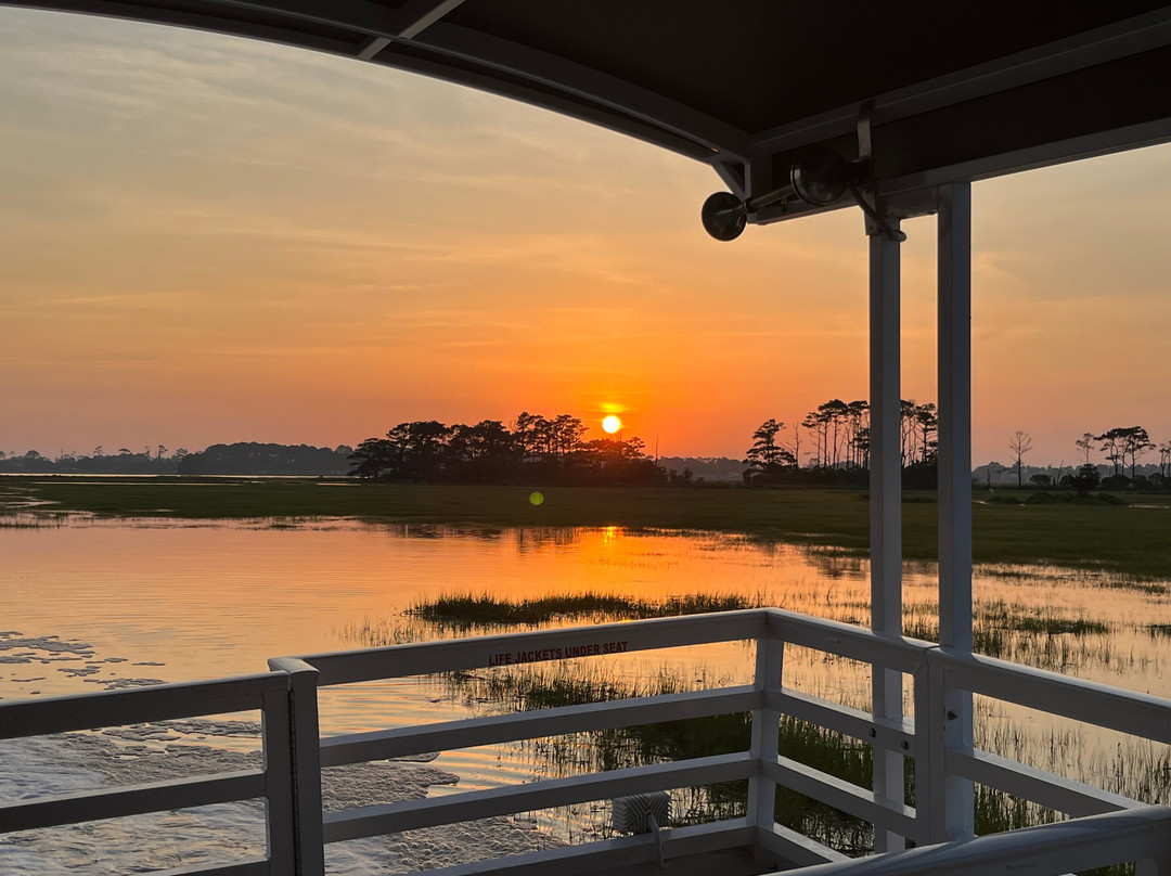 Saltwater Pony Tours-钦科蒂格岛必去景点