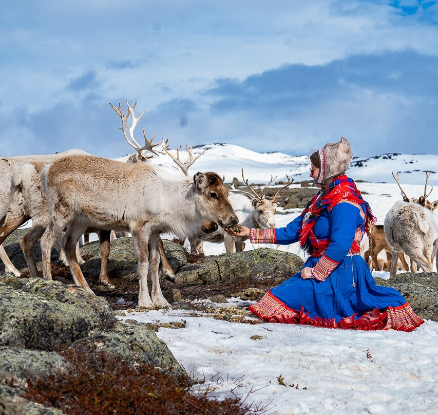 Up North Sámi Adventures-Kautokeino必去景点