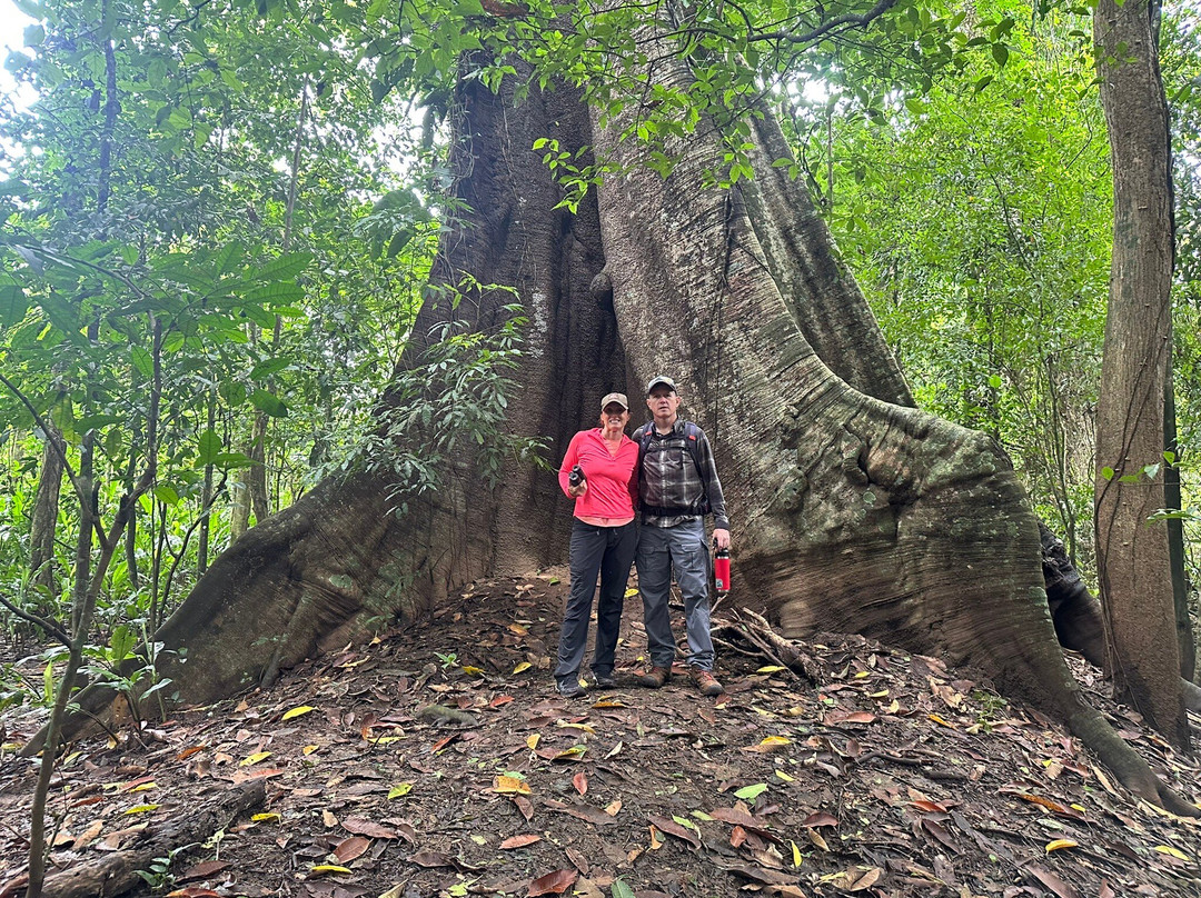 Carara National Park-卡拉拉必去景点
